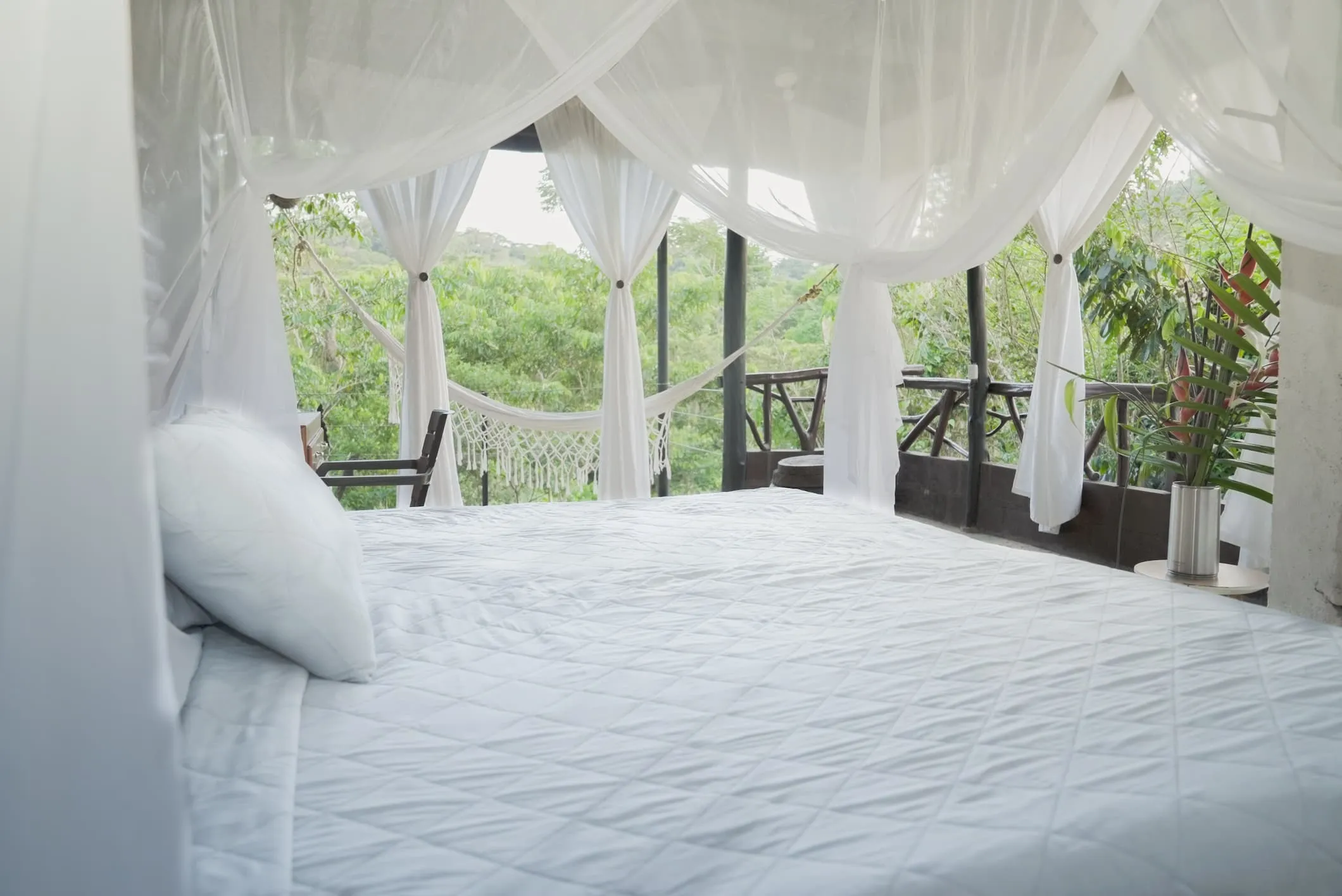 Suite Ceiba